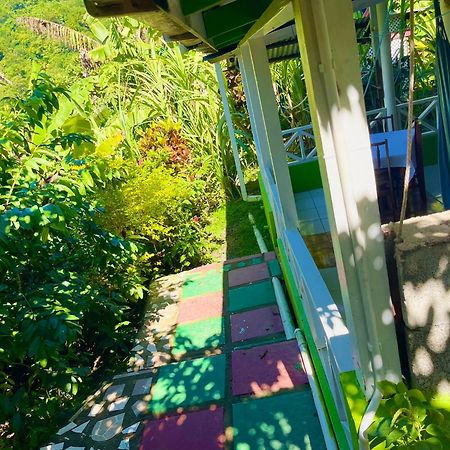 Le Petit Paradis Roseau Exterior foto