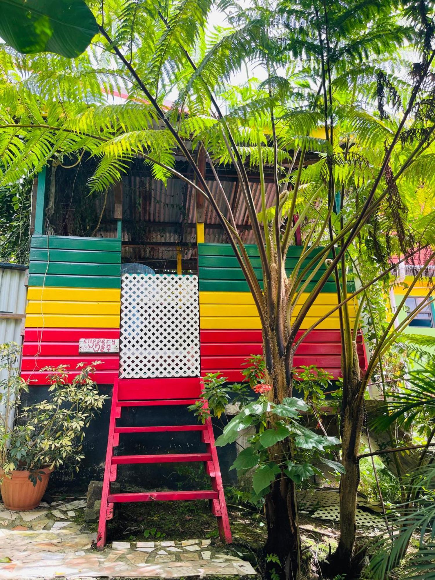 Le Petit Paradis Roseau Exterior foto